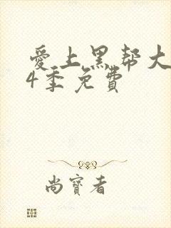 爱上黑帮大佬第4季免费