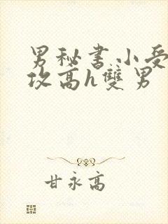男秘书小受引诱攻高h双男