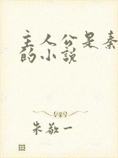 主人公是秦守业的小说