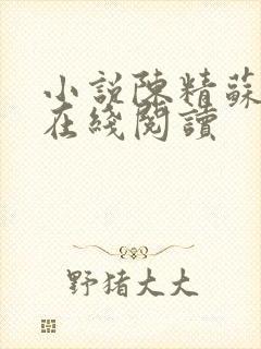 小说陈精苏若仙在线阅读