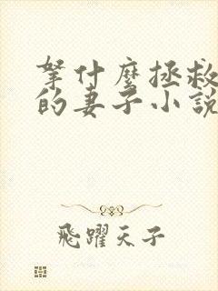 拿什么拯救你我的妻子小说在线阅读