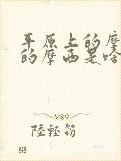 平原上的摩西中的摩西是啥