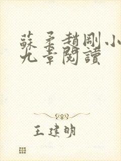 苏柔赵刚小说第九章阅读封面