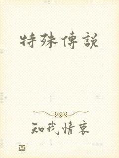特殊传说封面