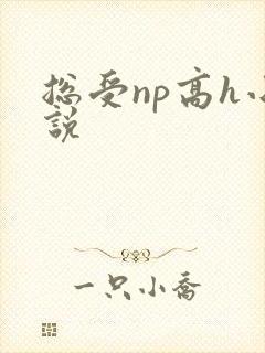 总受np高h小说封面