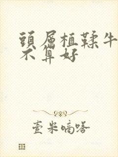 头层植鞣牛皮算不算好