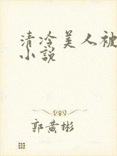 清冷美人被爆操小说