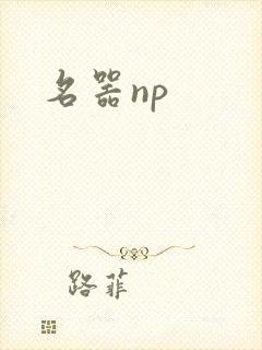 名器np