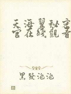 天海翼秘密搜查官在线观看封面