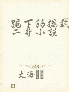 跪下的总裁苏宸二哥小说