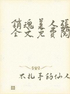 销魂美人张玉萍全文免费阅读小说