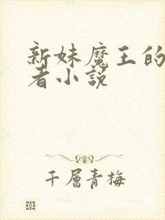 新妹魔王的契约者小说