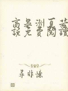 商晏洲夏若初小说免费阅读最新章节