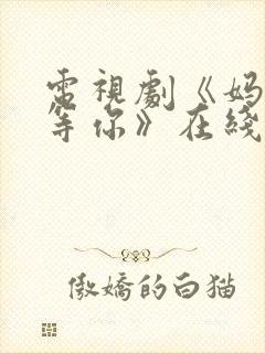 电视剧《妈妈在等你》在线观看