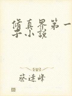 修真界第一病秧子小说