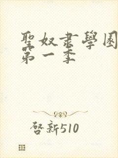 圣奴隶学园动漫第一季封面