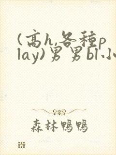 (高h,各种play)男男bl小说