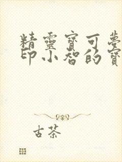 精灵宝可梦新无印小智的宝可梦