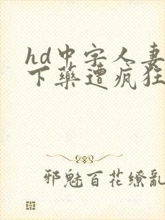 hd中字人妻被下药遭疯狂玩弄