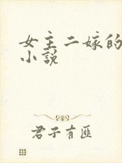 女主二嫁的古言小说