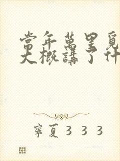 当年万里觅封侯大概讲了什么封面