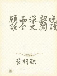 顾西深黎晚若小说全文阅读