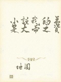 小说我的弟子全是大帝之资陆长生正版封面