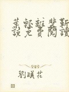 叶轻离裴靳墨小说免费阅读笔趣阁封面