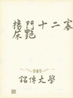 杨门十二寡妇肉床艳