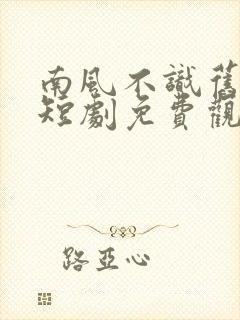 南风不识旧时人短剧免费观看