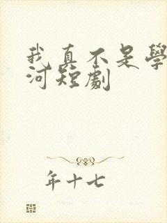 我真不是学神宋河短剧