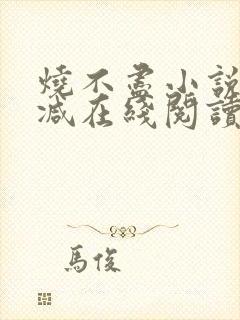 烧不尽小说无删减在线阅读