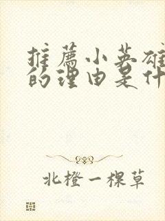 推荐小英雄雨来的理由是什么