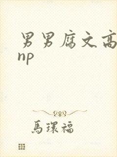 男男腐文高h肉np