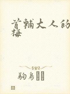 首辅大人的小青梅