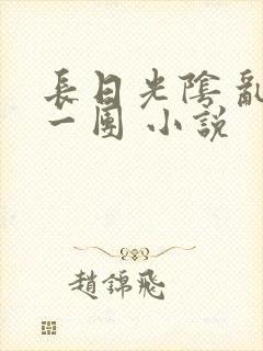 长日光阴 乱作一团 小说封面