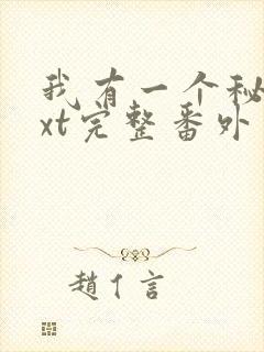 我有一个秘密txt完整番外封面