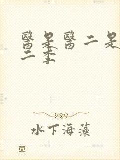 医是医二是二第二季