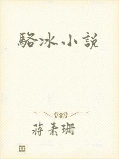 骆冰小说封面