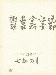 谢晏今江晚音小说最新章节更新