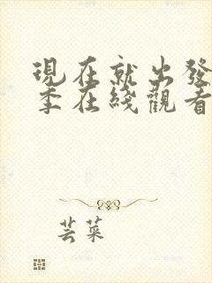 现在就出发第二季在线观看完整版免费高清