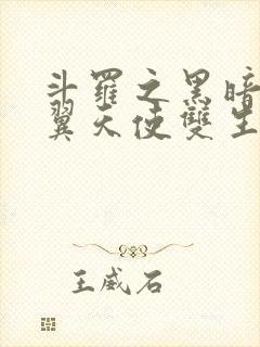 斗罗之黑暗十二翼天使双生武魂