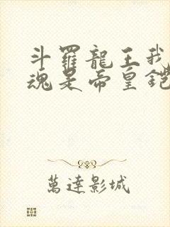 斗罗龙王我的武魂是帝皇铠甲免费阅读