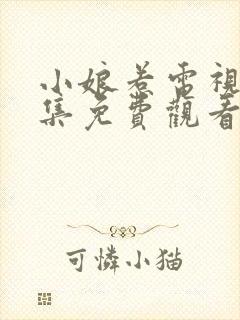 小娘惹电视剧全集免费观看完整版