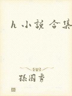 h 小说 合集封面