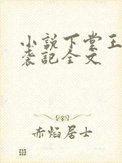 小说下堂王妃逆袭记全文