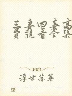 三妻四妾高清免费观看全集完整版封面