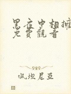 黑夜中相拥短剧免费观看