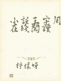 小说王宇周美琴在线阅读