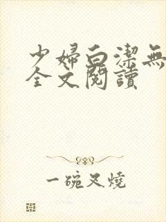 少妇白洁无删减全文阅读